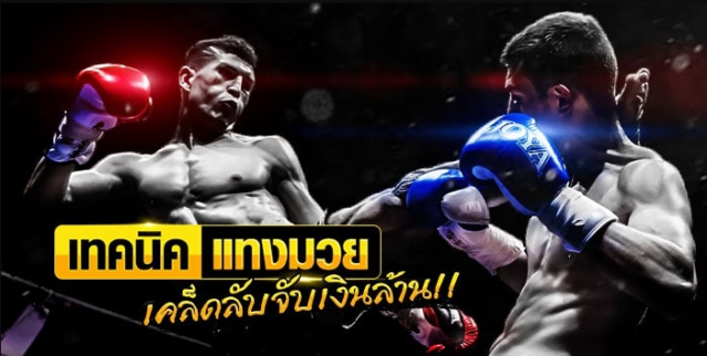 เทคนิคแทงมวย แทงมวยได้กำไรแน่นอน 100% บนเว็บพนันออนไลน์ SBOBET